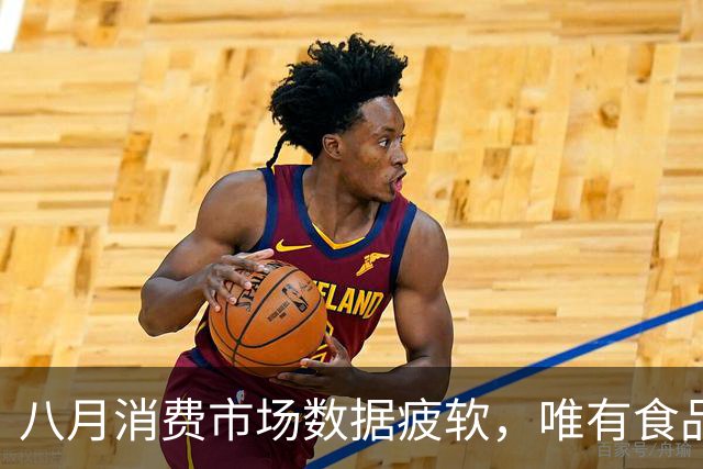 八月消费市场数据疲软，唯有食品类稳中有增